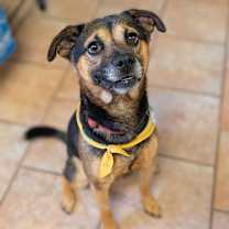 Thumbnail photo of Baker #1