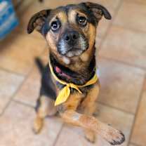 Thumbnail photo of Baker #2