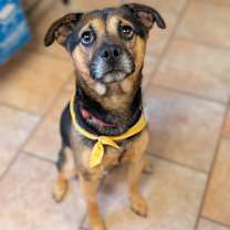 Thumbnail photo of Baker #3