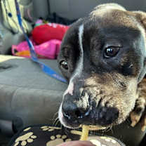 Thumbnail photo of Lucas Sinclair #3