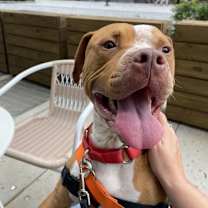 Thumbnail photo of Grace #3