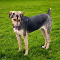 Thumbnail photo of Blair #3