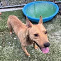 Thumbnail photo of Daisy #4