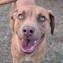 Thumbnail photo of Annabelle #4