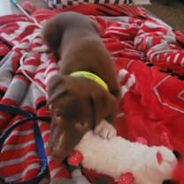 Thumbnail photo of Waylon #2