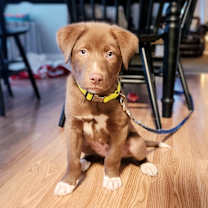 Thumbnail photo of Waylon #3