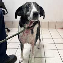 Thumbnail photo of Faye  #2