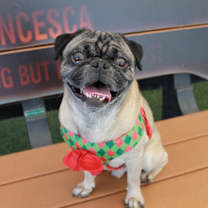 Thumbnail photo of Newman #1