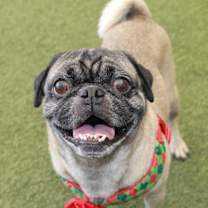 Thumbnail photo of Newman #3