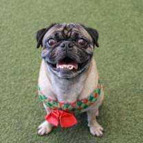 Thumbnail photo of Newman #4