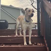 Thumbnail photo of Frost Bladen #2