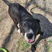 Thumbnail photo of Gigi #2