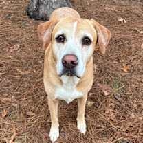 Thumbnail photo of Ryelle #1