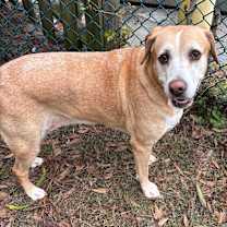 Thumbnail photo of Ryelle #2