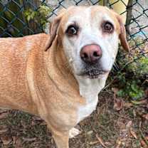 Thumbnail photo of Ryelle #3