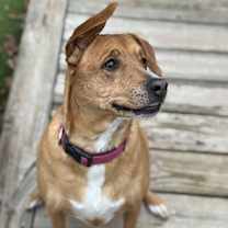 Thumbnail photo of Luna #3