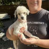 Thumbnail photo of Turkey #4