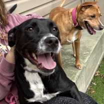 Thumbnail photo of Mae #2