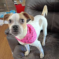 Thumbnail photo of Kyrie #3