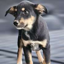 Thumbnail photo of Latte #2