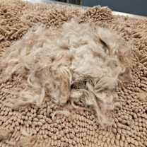 Thumbnail photo of Little Bit #2