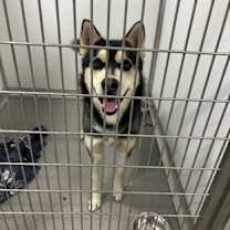 Thumbnail photo of Damon #2