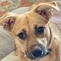 Thumbnail photo of Sugar #1