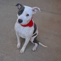 Thumbnail photo of Baby Girl #1