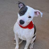 Thumbnail photo of Baby Girl #2