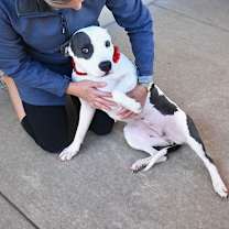 Thumbnail photo of Baby Girl #3