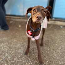 Thumbnail photo of Talia #1