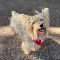 Thumbnail photo of King #1