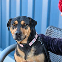 Thumbnail photo of Tanya #1