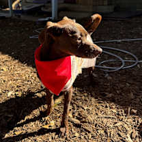 Thumbnail photo of Talia #3