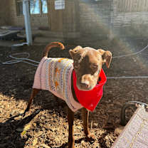 Thumbnail photo of Talia #4