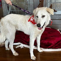 Thumbnail photo of Elsa #2