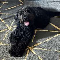 Thumbnail photo of London #1