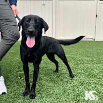 Thumbnail photo of Nike #2