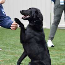 Thumbnail photo of Nike #3