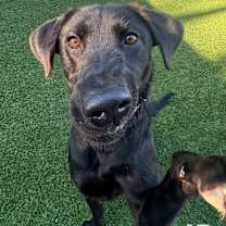 Thumbnail photo of Nike #4