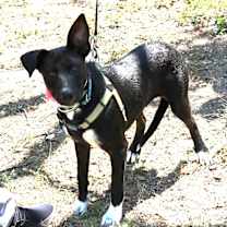 Thumbnail photo of Kai #1