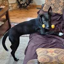 Thumbnail photo of Kai #3