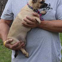 Thumbnail photo of Mutz #1