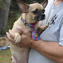 Thumbnail photo of Mutz #3