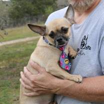 Thumbnail photo of Mutz #2