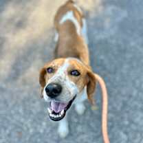 Thumbnail photo of Lady Bird  #3