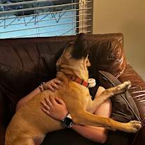 Thumbnail photo of MEME #1