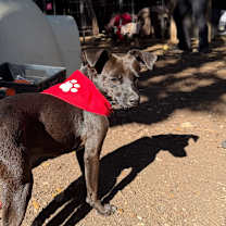 Thumbnail photo of Muggle #4