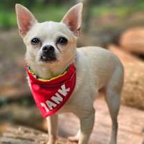 Thumbnail photo of TANK #1