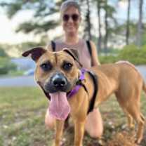 Thumbnail photo of Georgia Peach #1